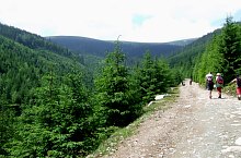 Arieșeni-Tăul Mare lake hiking trail, Bihor-Vladeasa, Apuseni mountains, Photo: Vasile Coancă