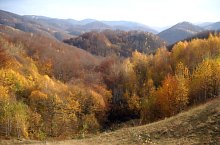 Plaiul Ferice, Bihor-Vladeasa, Apuseni mountains·, Photo: Szűcs Irén