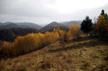 Plaiul Ferice, Bihor-Vladeasa, Apuseni mountains·, Photo: Szűcs Irén