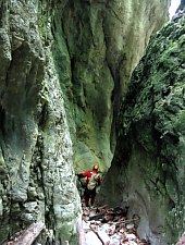 A Rossz Völgy kanyon, Szegyesd , Fotó: Paul Brănescu