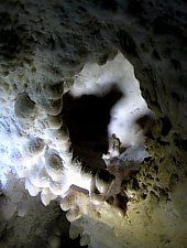 Humpleu cave, Bihor-Vladeasa, Apuseni mountains·, Photo: Carmen Avram