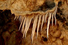 Medve barlang, Kiskóh , Fotó: Bușe Delu