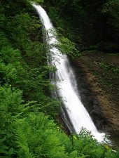 Ieduțului waterfall, Stâna de Vale , Photo: Mihai Păcuraru