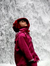 Ieduțului waterfall, Stâna de Vale , Photo: Mihai Păcuraru