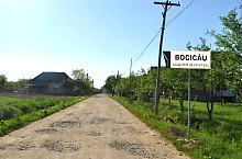 Bocicău , Photo: WR