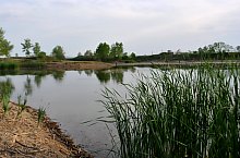 Cristal lake, Medieșu Aurit , Photo: WR
