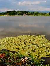2 Veverițe tó, Hagymás-Lápos , Fotó: WR