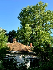 Papolczy-Bay ház, Szinérváralja , Fotó: WR