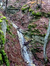 Waterfalls in the Treznea valley, Treznea , Photo: Lia Mureșan