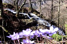 Sipote waterfall, Sălciua de Jos , Photo: Mihai Udvar