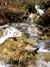 Sipote waterfall, Sălciua de Jos , Photo: Dan Moisa