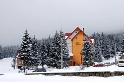 Art lodge, Vârtop , Photo: WR