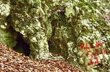 Denevérek barlangja, Fotó: Tőrös Víg Csaba