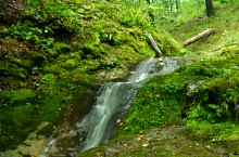 Boiului waterfall,  , Photo: Szűcs Irén