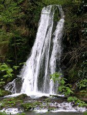Vadu Crișului waterfall, Vadu Crișului , Photo: Vasile Coancă
