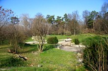 Botanikus park, Temesvár., Fotó: Marian Ghibu