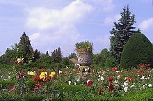 Roses park, Timișoara·, Photo: Ovidiu Nicorici