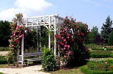 Roses park, Timișoara·, Photo: Ovidiu Nicorici